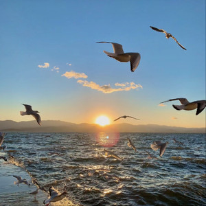 欧美XXxX性肛门交
